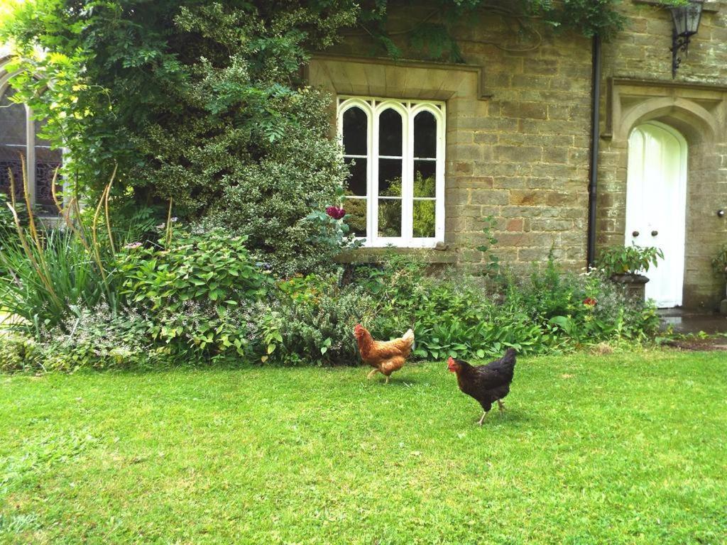 Old Vicarage B&B Coleford  Eksteriør bilde